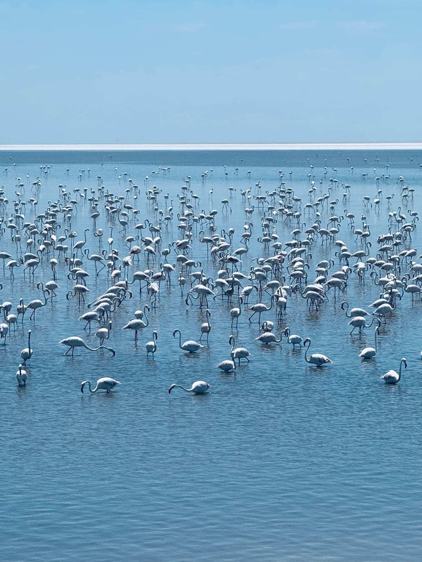 Rann of Kutch 2