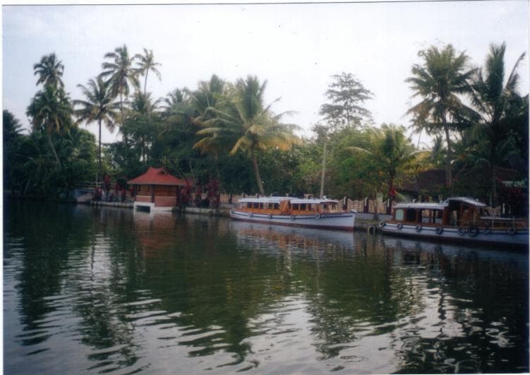 Alleppey 5